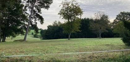 Terrain à Albussac en Corrèze (19) de 4500 m² à vendre au prix de 45000€