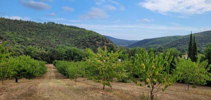 Terrain à Céret en Pyrénées-Orientales (66) de 3000 m² à vendre au prix de 185000€