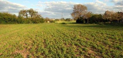 Terrain à Châtres-sur-Cher en Loir-et-Cher (41) de 1350 m² à vendre au prix de 25000€