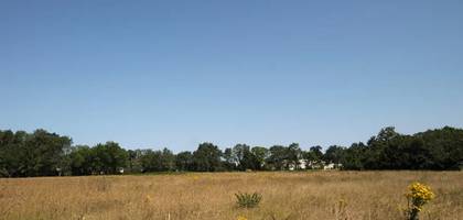 Terrain à Challans en Vendée (85) de 272 m² à vendre au prix de 62800€