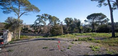 Terrain et maison à Cournonsec en Hérault (34) de 150 m² à vendre au prix de 714500€ - 4