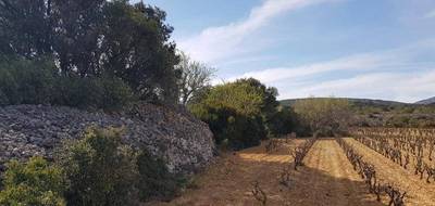 Terrain et maison à Caves en Aude (11) de 90 m² à vendre au prix de 322000€ - 4