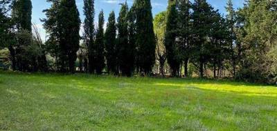 Terrain à Grillon en Vaucluse (84) de 433 m² à vendre au prix de 79000€ - 3