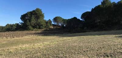 Terrain à Villeneuve-Minervois en Aude (11) de 2578 m² à vendre au prix de 82000€ - 1