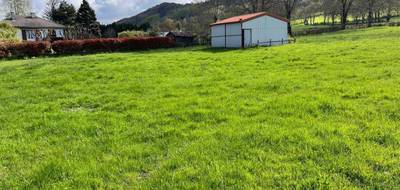 Terrain à Vézac en Cantal (15) de 5000 m² à vendre au prix de 55000€ - 2