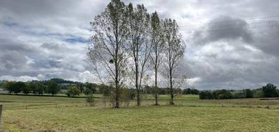 Terrain à Naucelles en Cantal (15) de 627 m² à vendre au prix de 43800€ - 3