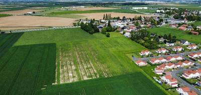 Terrain et maison à Vitry-en-Artois en Pas-de-Calais (62) de 90 m² à vendre au prix de 241000€ - 3