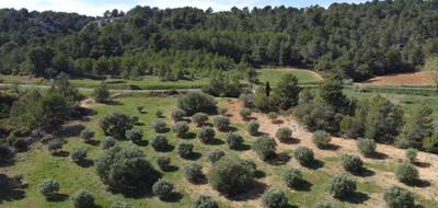 Terrain à Montouliers en Hérault (34) de 6530 m² à vendre au prix de 32000€ - 2