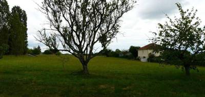 Terrain à Castelnau Montratier-Sainte Alauzie en Lot (46) de 4337 m² à vendre au prix de 115000€ - 4