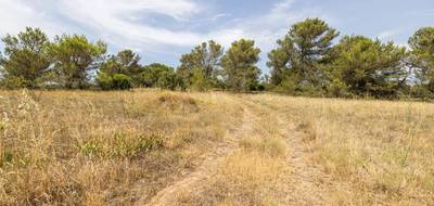 Terrain à Malves-en-Minervois en Aude (11) de 8952 m² à vendre au prix de 30000€ - 1