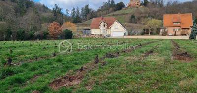 Terrain à Kintzheim en Bas-Rhin (67) de 384 m² à vendre au prix de 121500€ - 4