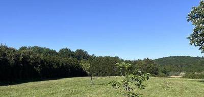 Terrain à Salies-de-Béarn en Pyrénées-Atlantiques (64) de 1300 m² à vendre au prix de 85000€ - 2