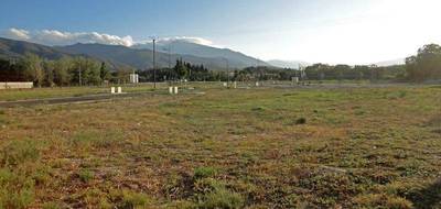 Terrain à Ille-sur-Têt en Pyrénées-Orientales (66) de 1053 m² à vendre au prix de 87750€ - 2