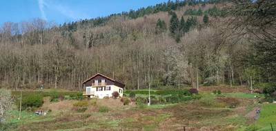 Terrain à Le Val-d'Ajol en Vosges (88) de 4728 m² à vendre au prix de 50000€ - 3