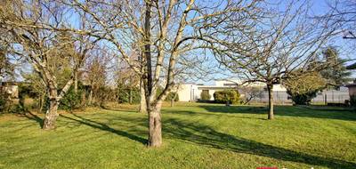 Terrain à Verrières-en-Anjou en Maine-et-Loire (49) de 800 m² à vendre au prix de 150000€ - 1