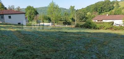 Terrain à Livinhac-le-Haut en Aveyron (12) de 1065 m² à vendre au prix de 37000€ - 3