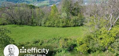 Terrain à Mont-Saxonnex en Haute-Savoie (74) de 3055 m² à vendre au prix de 349000€ - 4
