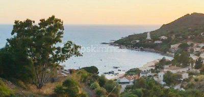 Terrain à Casaglione en Corse-du-Sud (2A) de 2450 m² à vendre au prix de 336500€ - 1