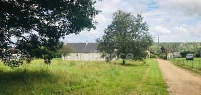 Terrain à Jouet-sur-l'Aubois en Cher (18) de 1800 m² à vendre au prix de 21000€ - 3