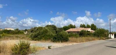 Terrain à La Palme en Aude (11) de 630 m² à vendre au prix de 129900€ - 3