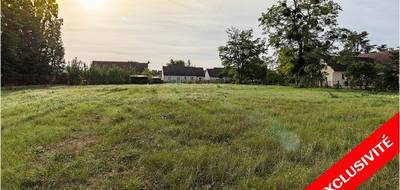 Terrain à Noyers-sur-Cher en Loir-et-Cher (41) de 2750 m² à vendre au prix de 54990€ - 1