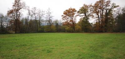 Terrain à Sainte-Marguerite en Vosges (88) de 11900 m² à vendre au prix de 160000€ - 1