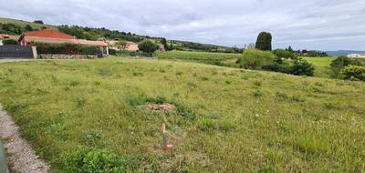 Terrain à Limoux en Aude (11) de 1000 m² à vendre au prix de 49900€ - 2