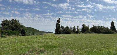 Terrain à Vallery en Yonne (89) de 1000 m² à vendre au prix de 36000€ - 1