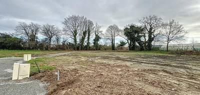 Terrain à Marzan en Morbihan (56) de 541 m² à vendre au prix de 71800€ - 1