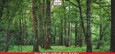 Terrain à Châteauneuf-du-Faou en Finistère (29) de 3000 m² à vendre au prix de 15000€ - 2