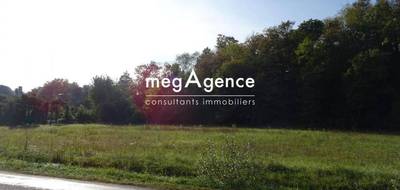 Terrain à Ancier en Haute-Saône (70) de 7323 m² à vendre au prix de 55000€ - 3
