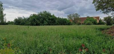 Terrain à Bischwihr en Haut-Rhin (68) de 525 m² à vendre au prix de 149500€ - 2