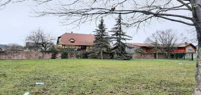 Terrain et maison à Blodelsheim en Haut-Rhin (68) de 537 m² à vendre au prix de 334700€ - 3