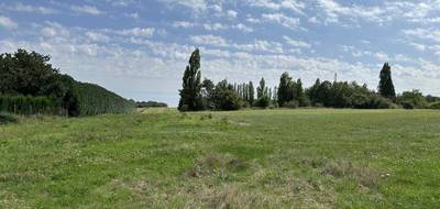 Terrain à Vallery en Yonne (89) de 1000 m² à vendre au prix de 36000€ - 2
