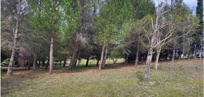 Terrain à Limoux en Aude (11) de 1590 m² à vendre au prix de 77000€ - 1