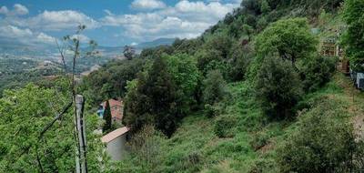 Terrain à Oletta en Haute-Corse (2B) de 3220 m² à vendre au prix de 290000€ - 2
