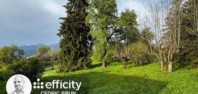 Terrain à Mont-Saxonnex en Haute-Savoie (74) de 2287 m² à vendre au prix de 199000€ - 3