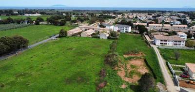 Terrain à Penta-di-Casinca en Haute-Corse (2B) de 760 m² à vendre au prix de 113500€ - 1