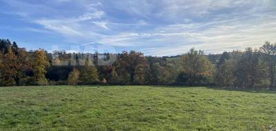 Terrain à Rieupeyroux en Aveyron (12) de 9842 m² à vendre au prix de 106500€ - 2