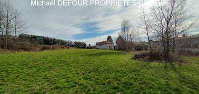 Terrain à Sainte-Sigolène en Haute-Loire (43) de 755 m² à vendre au prix de 49000€ - 3