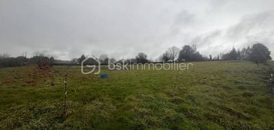 Terrain à Plumelec en Morbihan (56) de 2400 m² à vendre au prix de 130000€ - 3